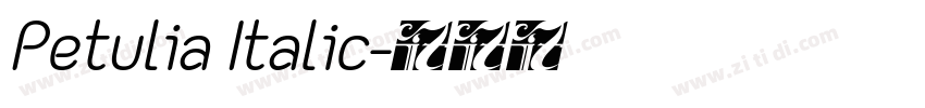 Petulia Italic字体转换